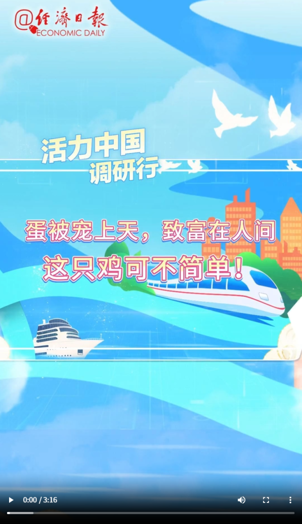 恒财网配资 “蛋被宠上天，致富在人间”，这只鸡可不简单！丨活力中国调研行_大皖新闻 | 安徽网
