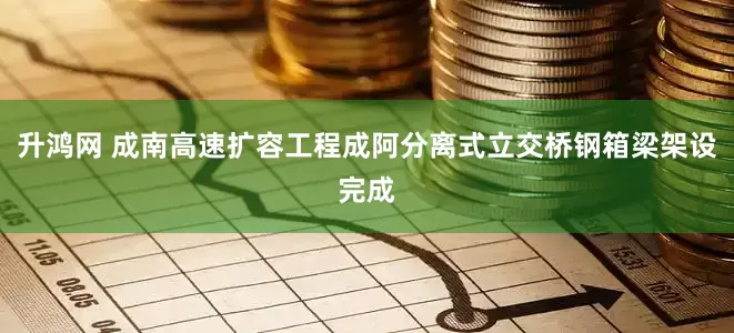 升鸿网 成南高速扩容工程成阿分离式立交桥钢箱梁架设完成